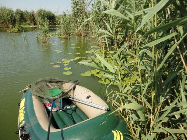 Delta forever - 5527.jpg